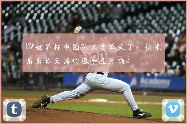 OW世界杯中国队大名单来了,快来看看你支持的选手在列吗?