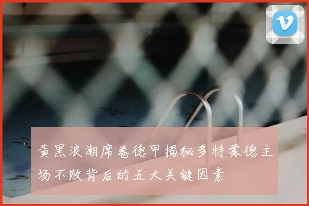 黄黑浪潮席卷德甲揭秘多特蒙德主场不败背后的五大关键因素