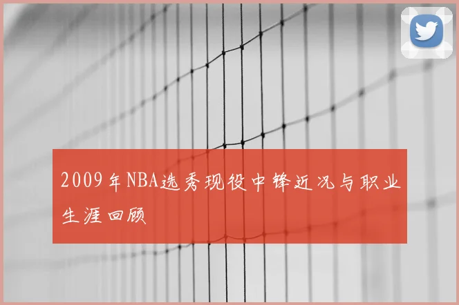 2009年NBA选秀现役中锋近况与职业生涯回顾