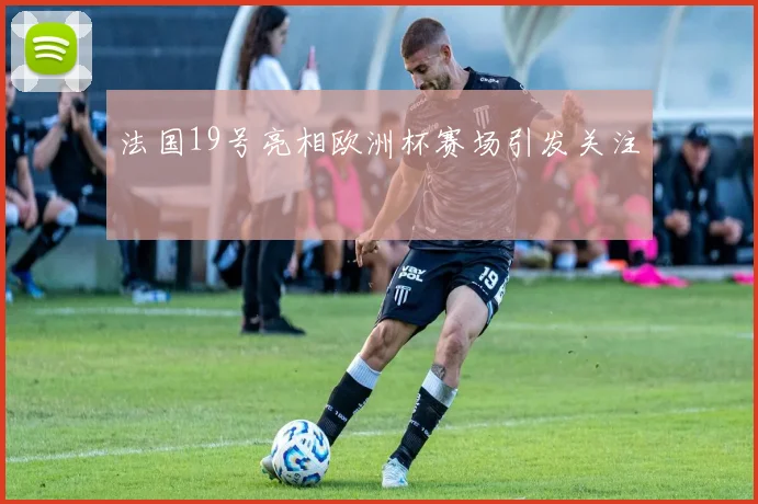 法国19号亮相欧洲杯赛场引发关注