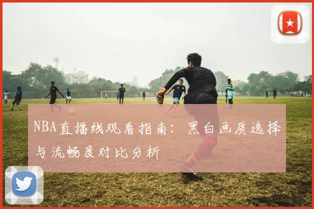 NBA直播线观看指南：黑白画质选择与流畅度对比分析