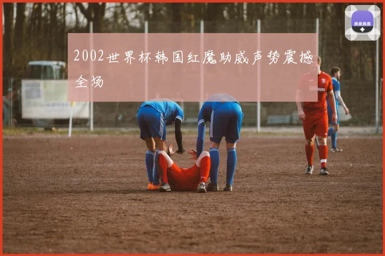 2002世界杯韩国红魔助威声势震撼全场