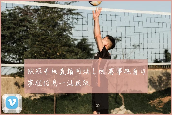 欧冠手机直播网站上线 赛事观看与赛程信息一站获取
