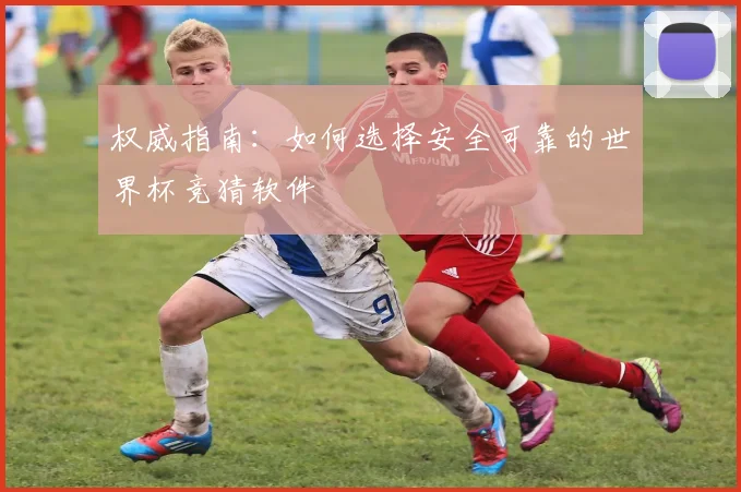 权威指南:如何选择安全可靠的世界杯竞猜软件