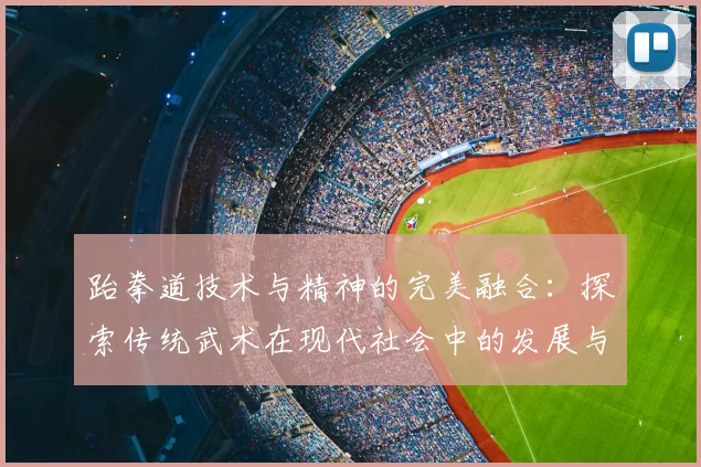 跆拳道技术与精神的完美融合：探索传统武术在现代社会中的发展与应用