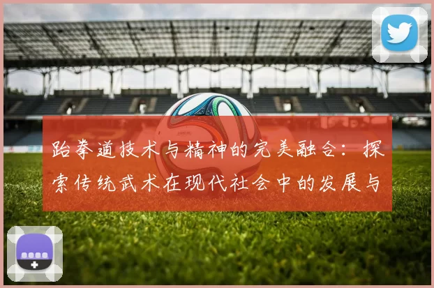 跆拳道技术与精神的完美融合：探索传统武术在现代社会中的发展与应用