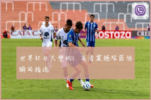 世界杯非凡壁纸:高清震撼绿茵场瞬间精选