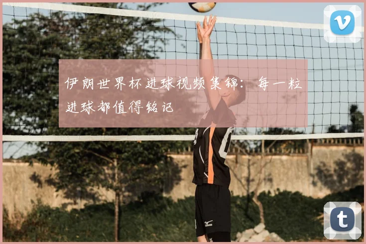 伊朗世界杯进球视频集锦：每一粒进球都值得铭记