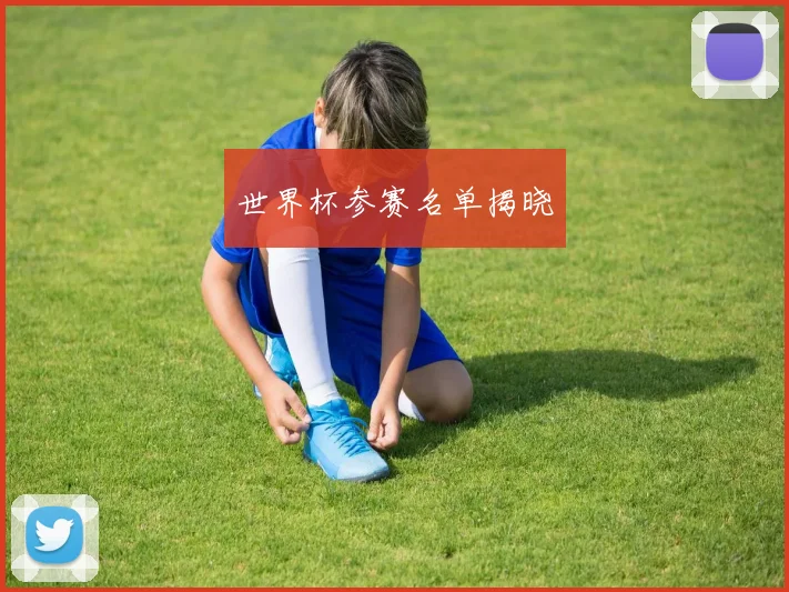 世界杯参赛名单揭晓