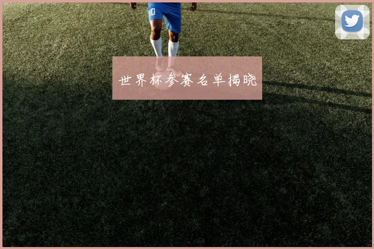 世界杯参赛名单揭晓