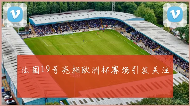 法国19号亮相欧洲杯赛场引发关注