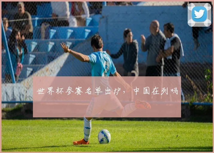 世界杯参赛名单出炉,中国在列吗