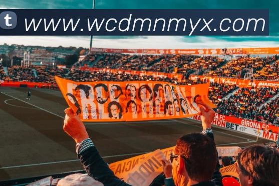 App Interface Preview