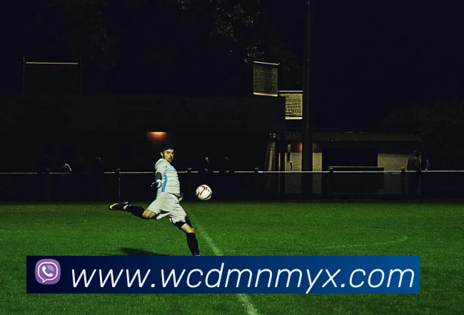 多媒体互动体验